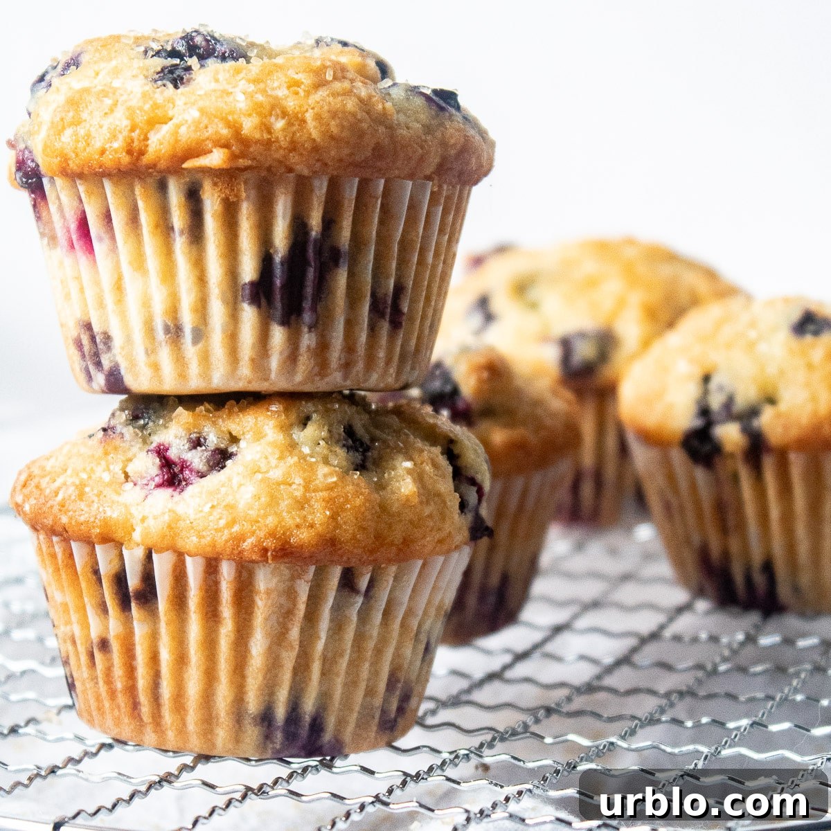 Lemon-Zest Buttermilk Blueberry Muffins 6 stacked buttermilk blueberry muffins