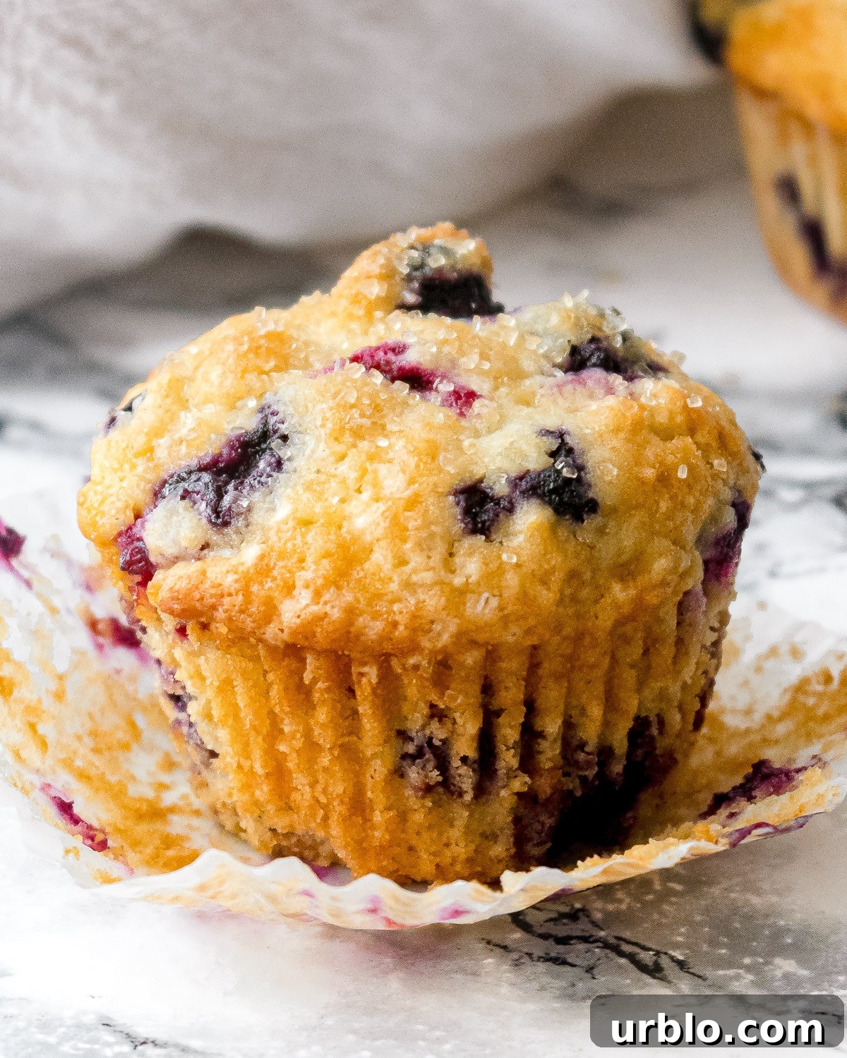 Lemon-Zest Buttermilk Blueberry Muffins 7 close up of buttermilk blueberry muffin