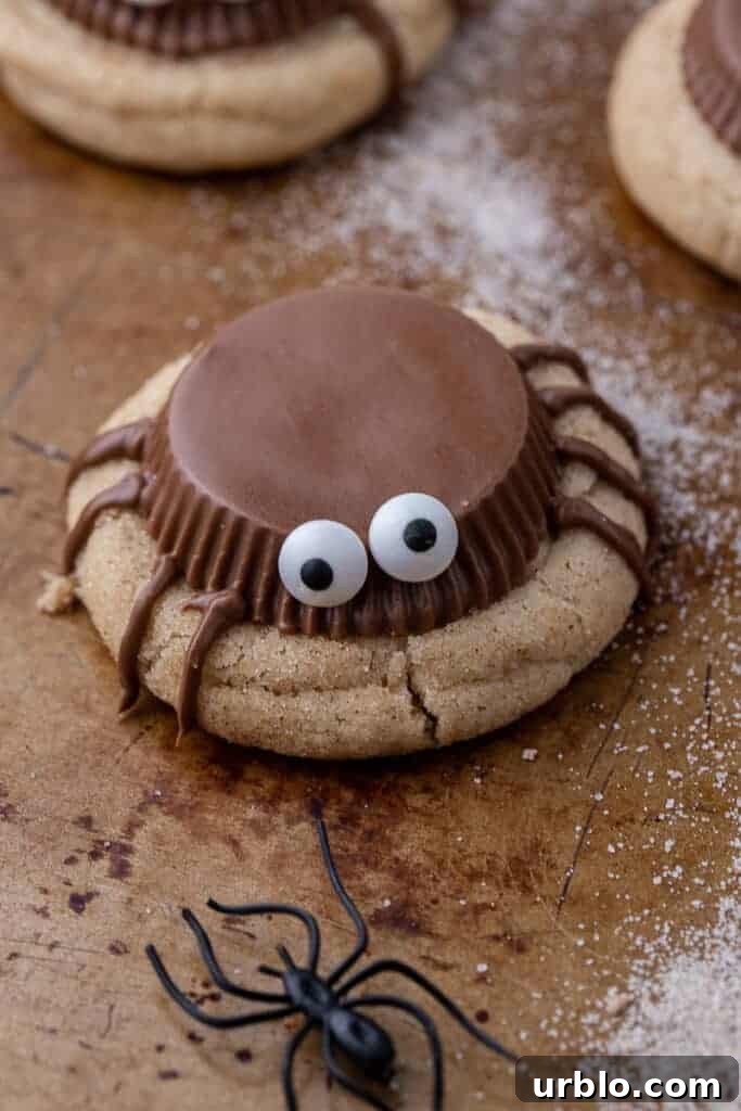 Snickerdoodle Spider Cookies for Halloween 2 Spooky spider cookie