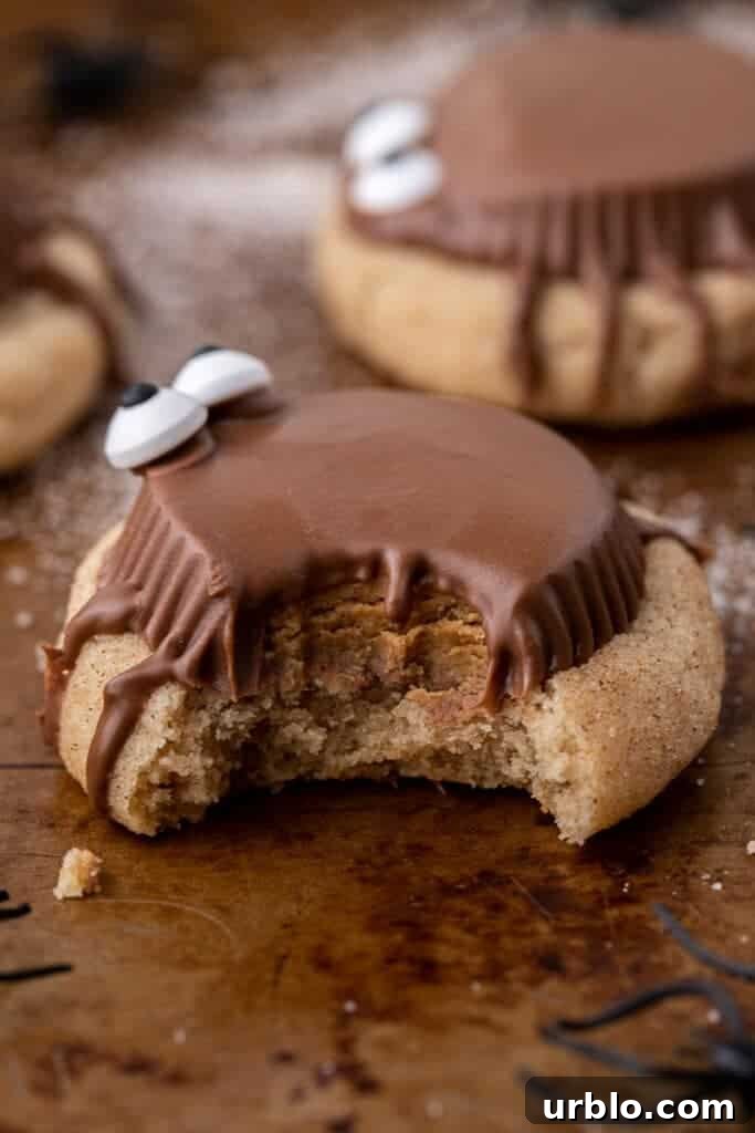 Snickerdoodle Spider Cookies for Halloween 11 Spider cookie with a bite taken out of it