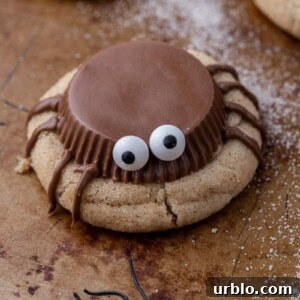 Snickerdoodle Spider Cookies for Halloween 12 Spooky spider cookie