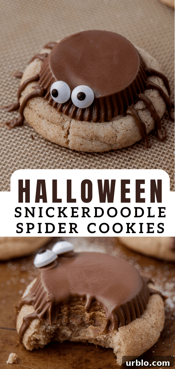 Snickerdoodle Spider Cookies for Halloween 14 Snickerdoodle Halloween spider cookies