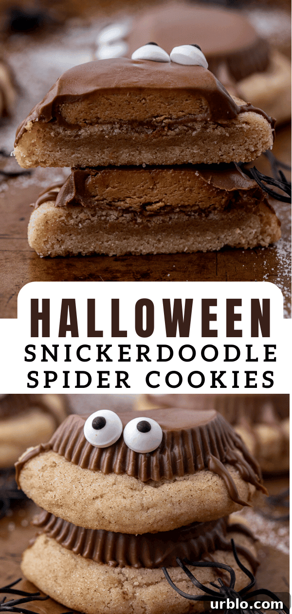 Snickerdoodle Spider Cookies for Halloween 15 Snickerdoodle Halloween spider cookies