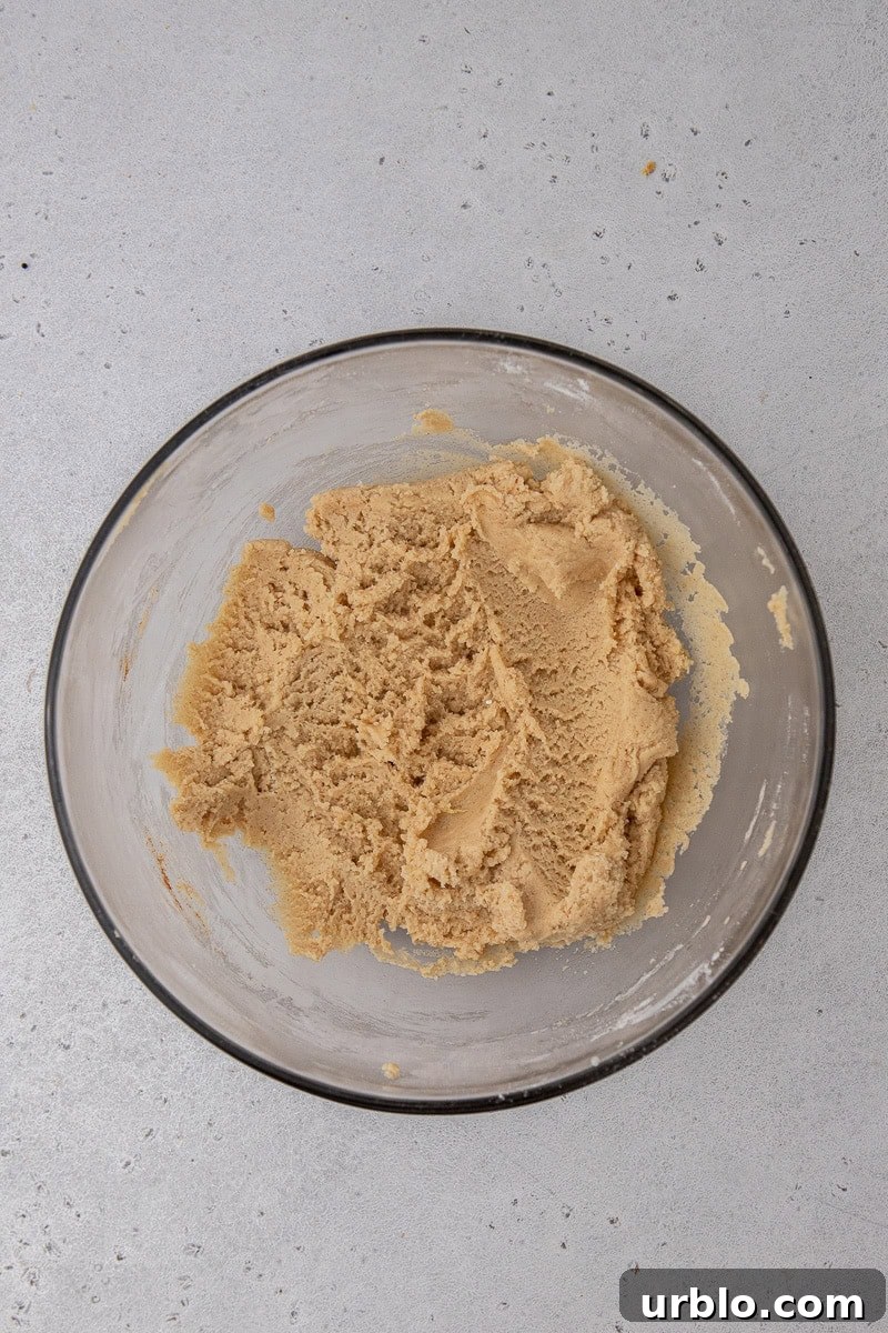 Snickerdoodle Spider Cookies for Halloween 5 Cookie dough in a bowl