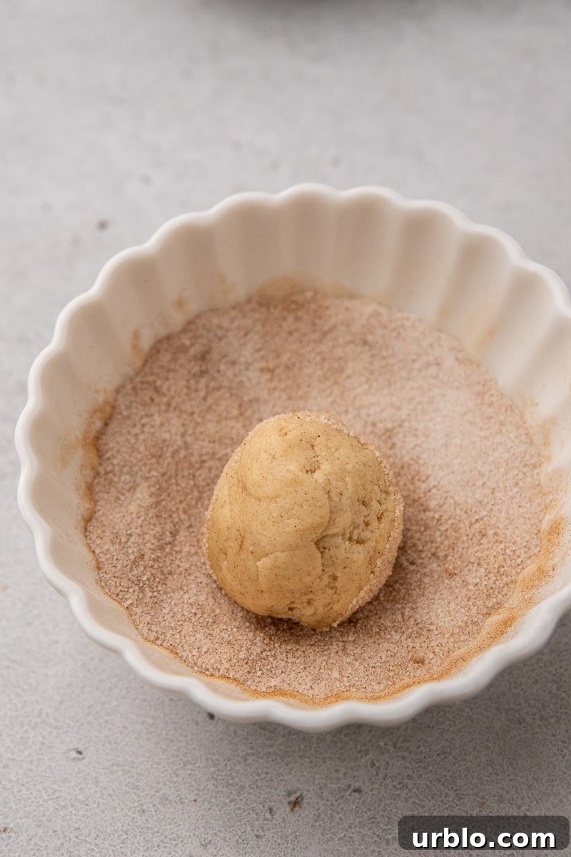 Snickerdoodle Spider Cookies for Halloween 6 cookie rolled in cinnamon sugar