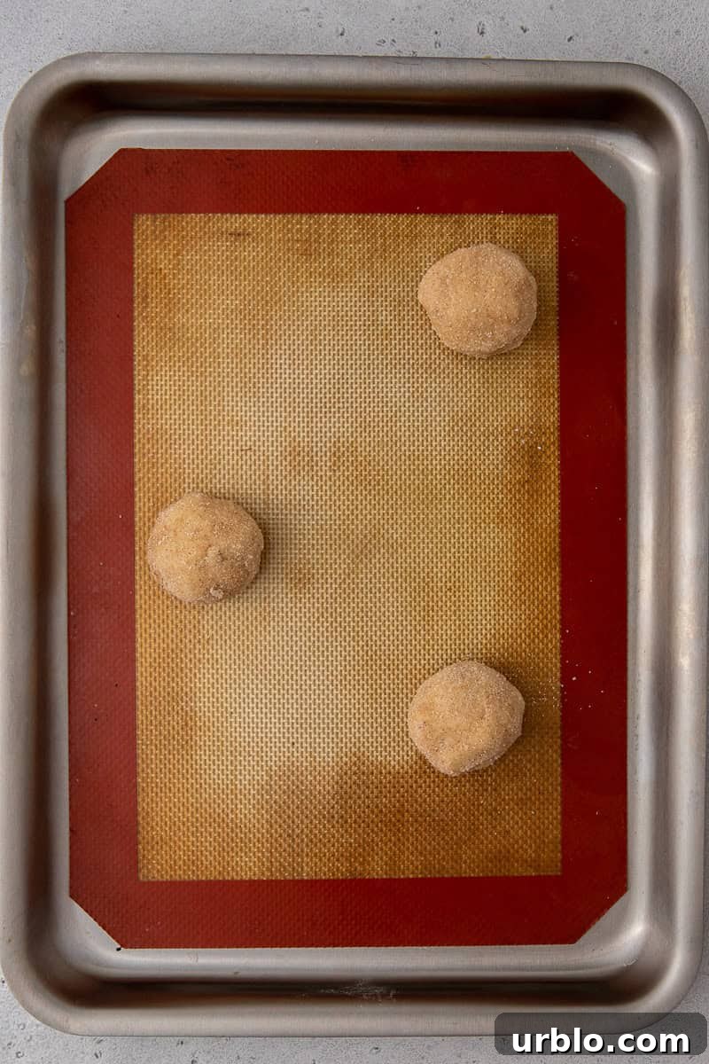 Snickerdoodle Spider Cookies for Halloween 7 Cookie dough on baking sheet