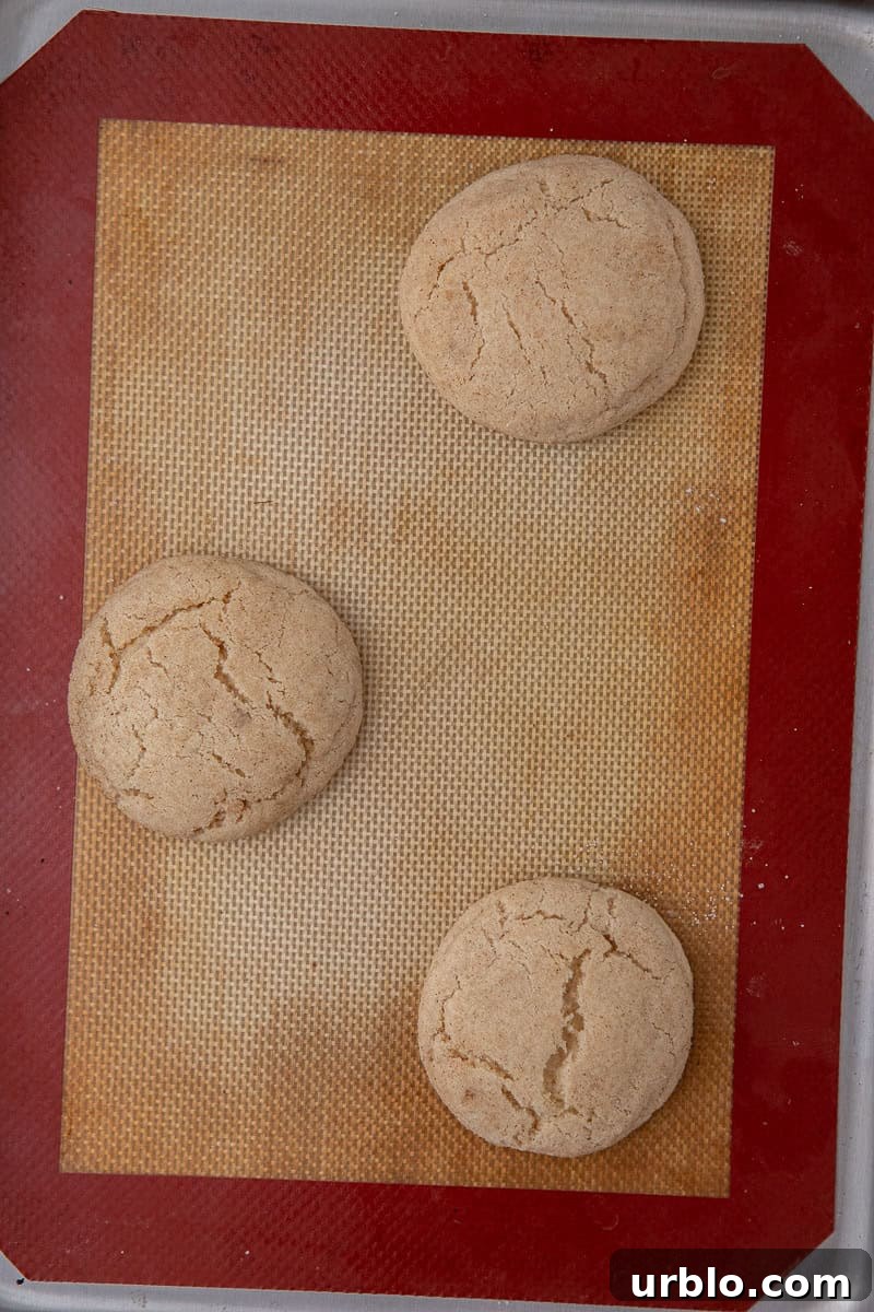 Snickerdoodle Spider Cookies for Halloween 8 cookie son baking sheet