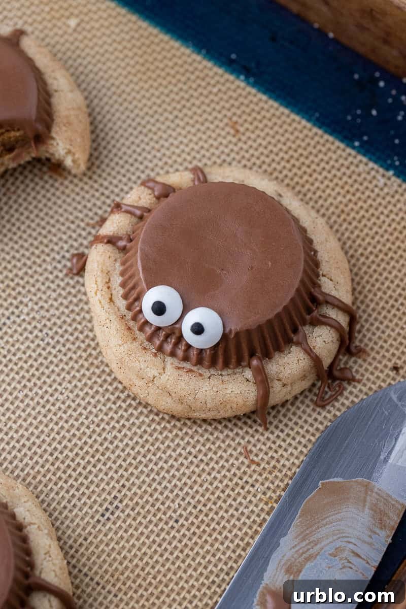 Snickerdoodle Spider Cookies for Halloween 9 spooky spider cookies on baking sheet
