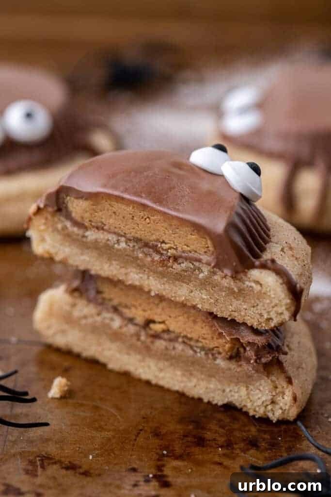 Snickerdoodle Spider Cookies for Halloween 10 Spooky peanut butter cup cookies sliced in half and stacked