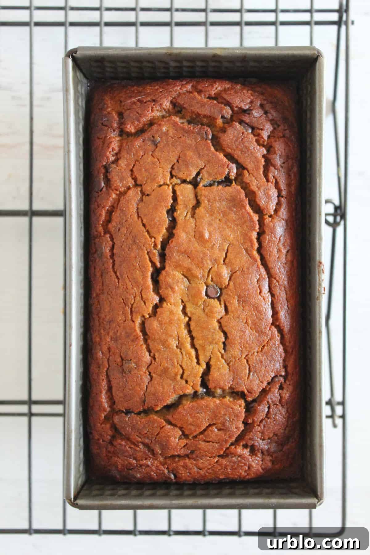 Moist Coconut Flour Banana Bread: Gluten and Grain-Free 13 img 737 12