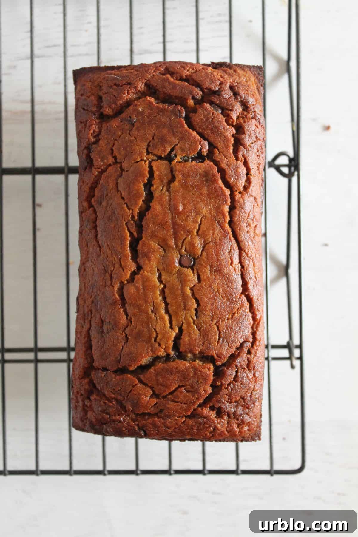 Moist Coconut Flour Banana Bread: Gluten and Grain-Free 14 img 737 13