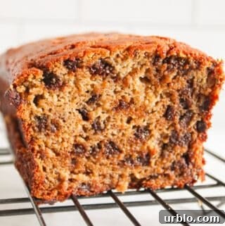 Moist Coconut Flour Banana Bread: Gluten and Grain-Free 16 inside of coconut flour banana bread.