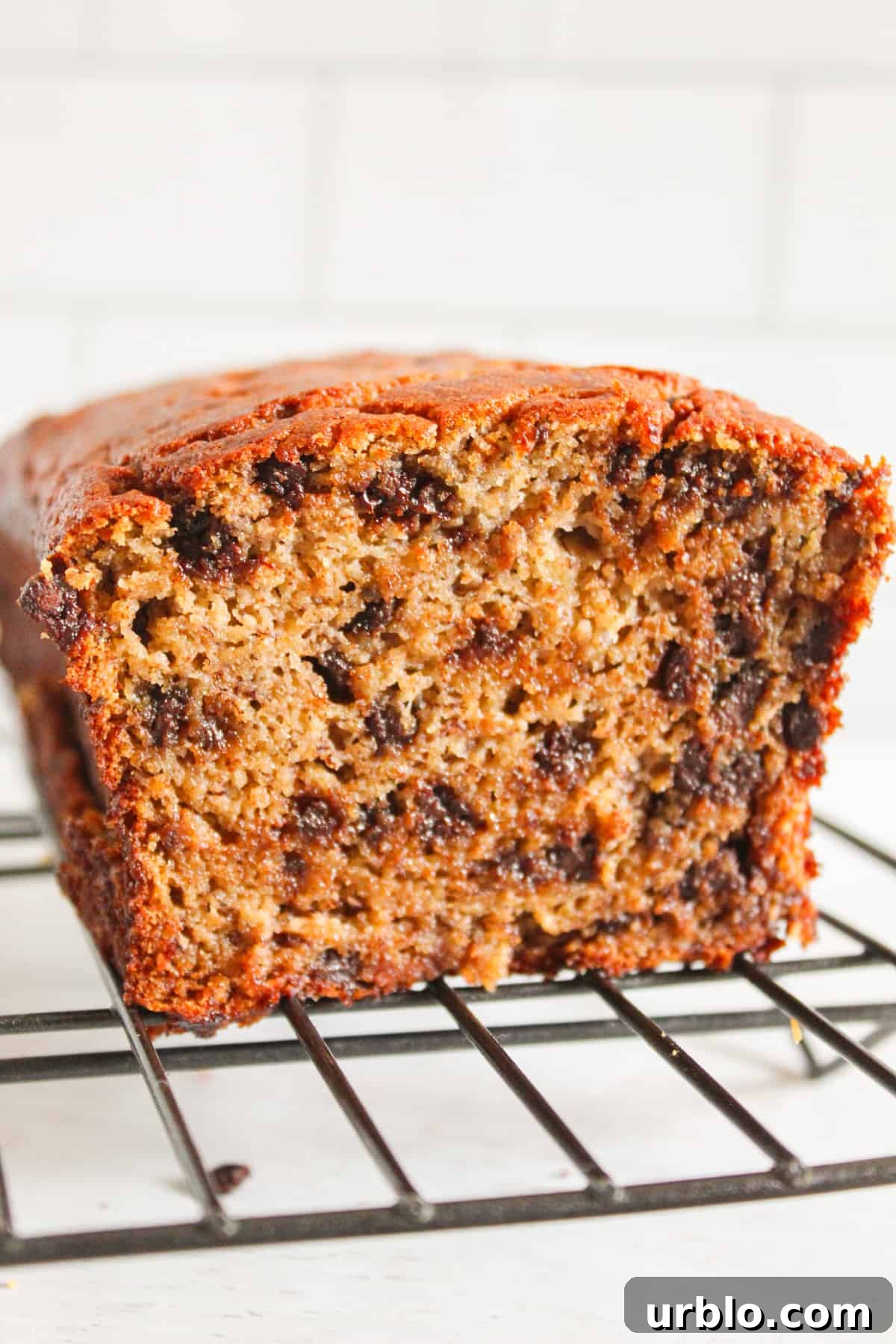 Moist Coconut Flour Banana Bread: Gluten and Grain-Free 3 inside of coconut flour banana bread.