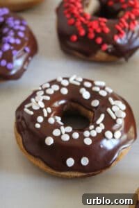 gluten free donut with chocolate glaze and white sprinkles.