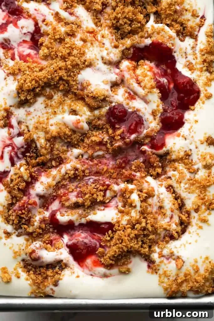 No-Churn Strawberry Cheesecake Ice Cream Recipe 6 strawberry-cheesecake-ice-cream-closeup