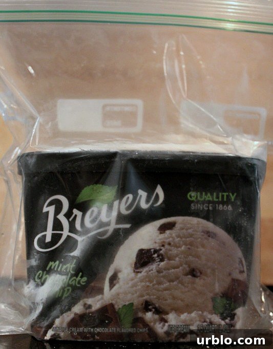 How to Keep Ice Cream Fresh and Scoopable 2 Ice Cream in A Ziplock Bag
