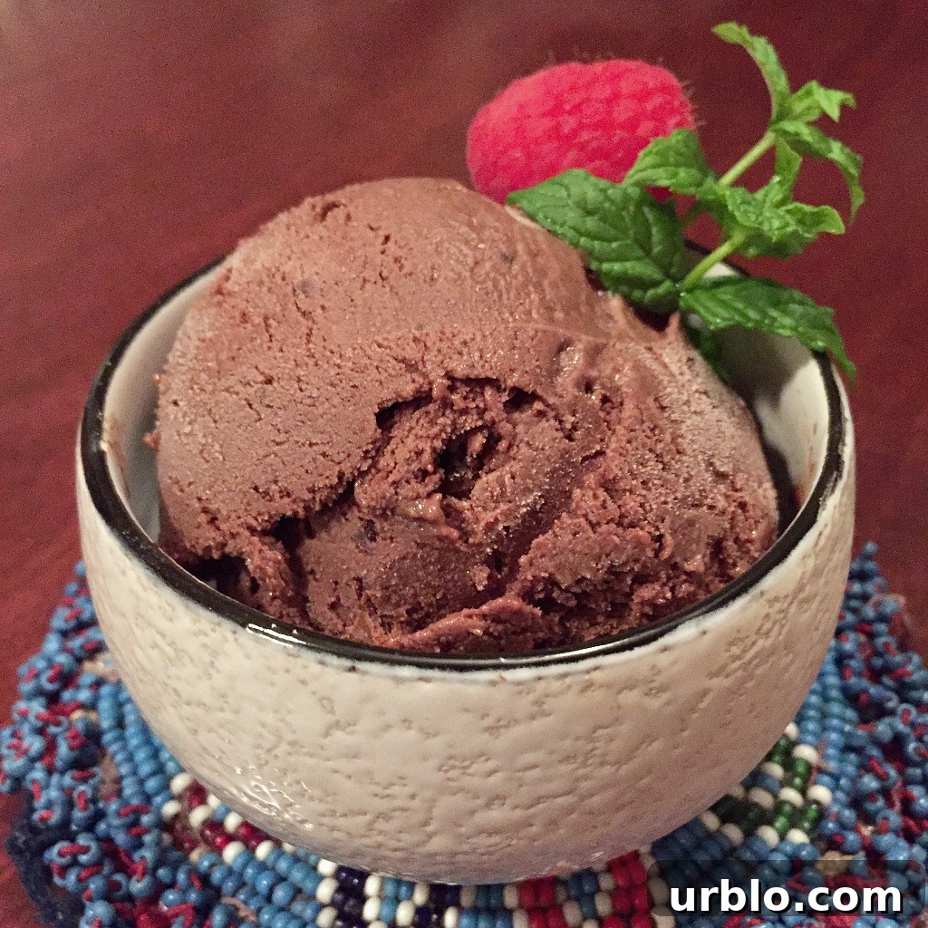 How to Keep Ice Cream Fresh and Scoopable 3 Dark Chocolate Gelato