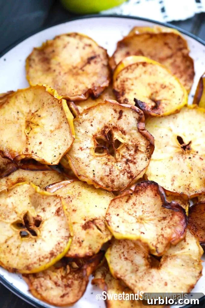 apple chips on a serving plate