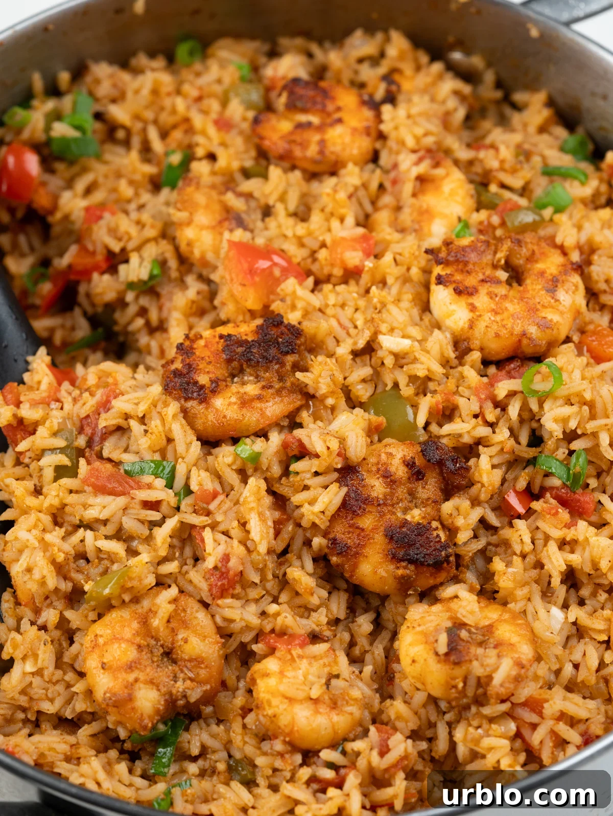 One-Pot Cajun Shrimp and Rice 2 Cajun Shrimp and Rice