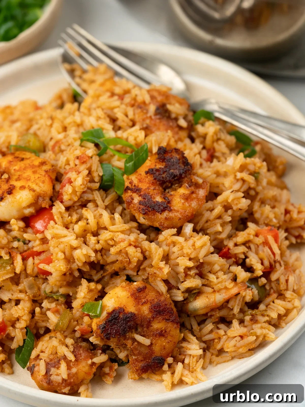 One-Pot Cajun Shrimp and Rice 3 Cajun Shrimp and Rice plated