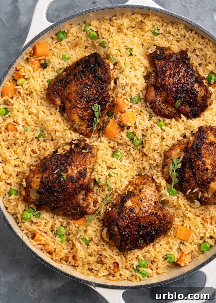 One-Pot Cajun Shrimp and Rice 6 Oven baked chicken and rice