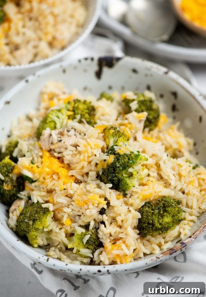 One-Pot Cajun Shrimp and Rice 7 One pot chicken broccoli rice
