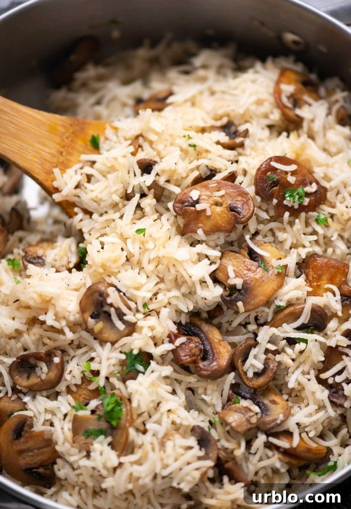 One-Pot Cajun Shrimp and Rice 8 Mushroom rice close-up