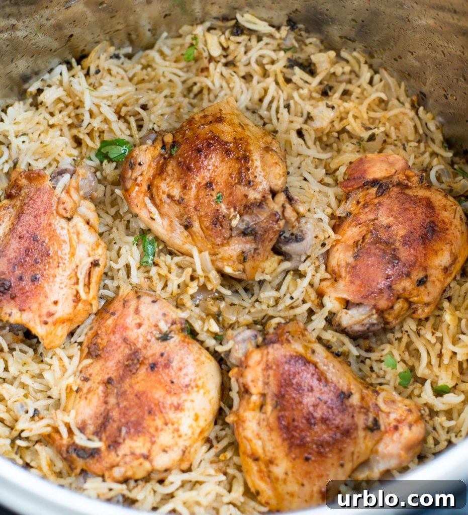 One-Pot Cajun Shrimp and Rice 9 Garlic herb chicken and rice