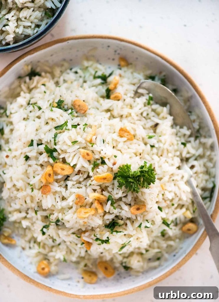 One-Pot Cajun Shrimp and Rice 10 Garlic butter rice