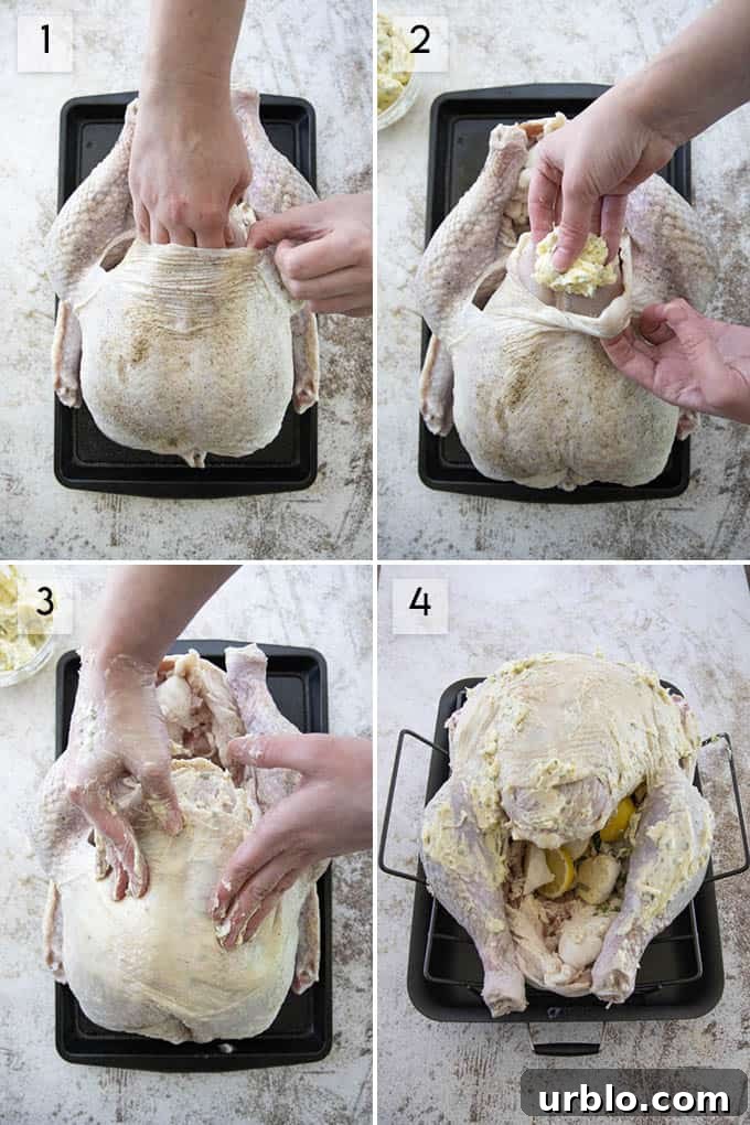 Roast Turkey Recipe for Juicy Meat and Crispy Skin 5 collage of photos how to roast turkey