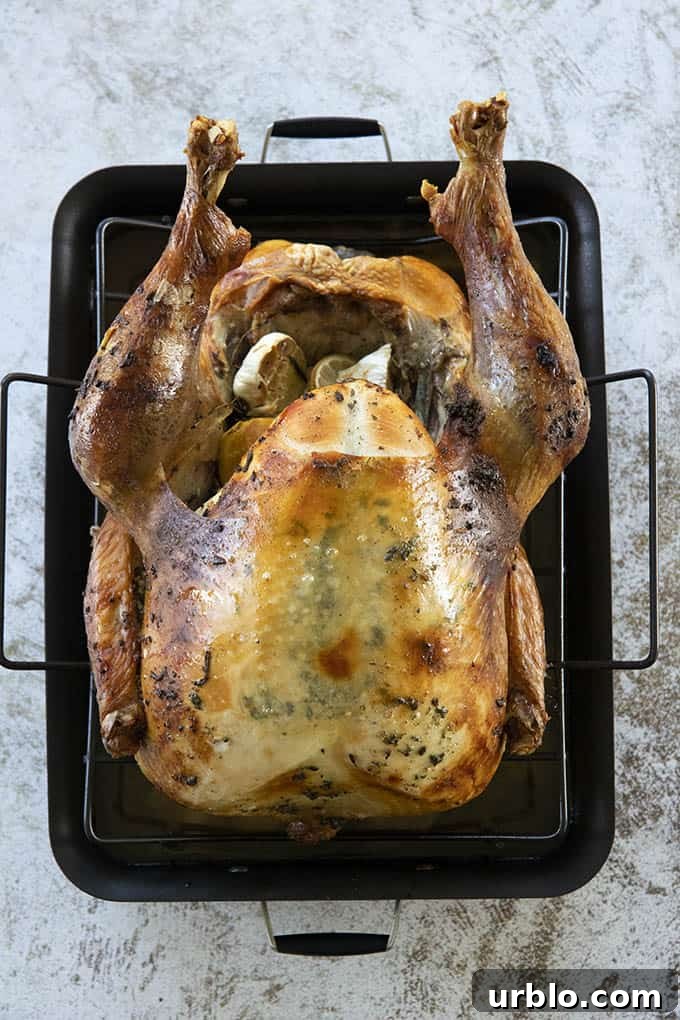 Roast Turkey Recipe for Juicy Meat and Crispy Skin 6 roast turkey on roasting pan